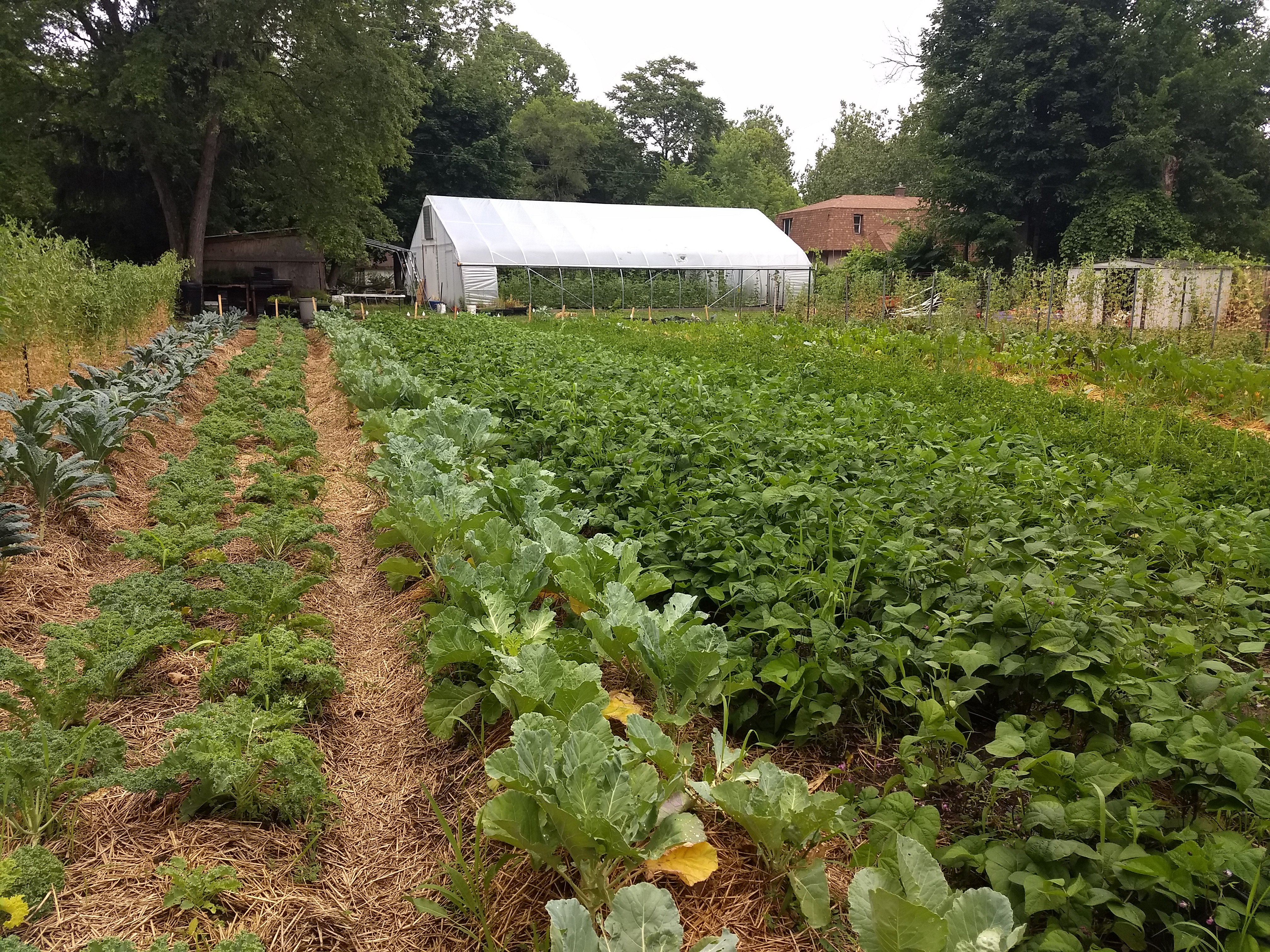 Lansing Land Bank farms